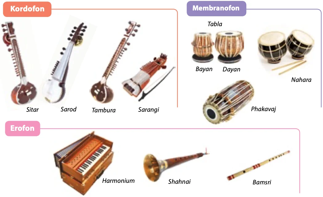 Alat muzik Hindustani: kordofon (sitar, sarod, tambura, sarangi), membranofon (tabla bayan dan dayan, nahara, phakavaj), erofon (harmonium, shahnai, bamsri)