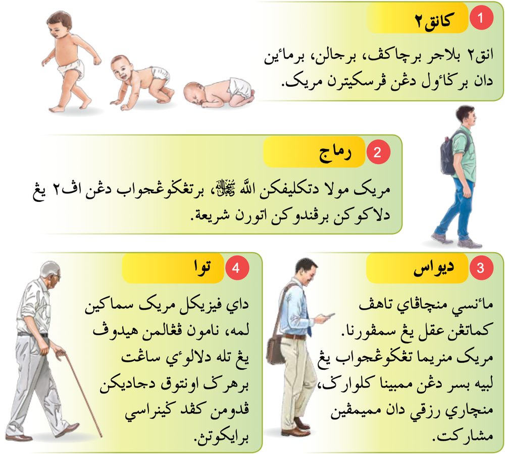 Empat fasa kehidupan manusia: kanak-kanak, remaja, dewasa dan tua