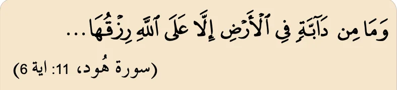 Surah Hud ayat 6: tiada makhluk yang bergerak di bumi melainkan Allah yang menanggung rezekinya