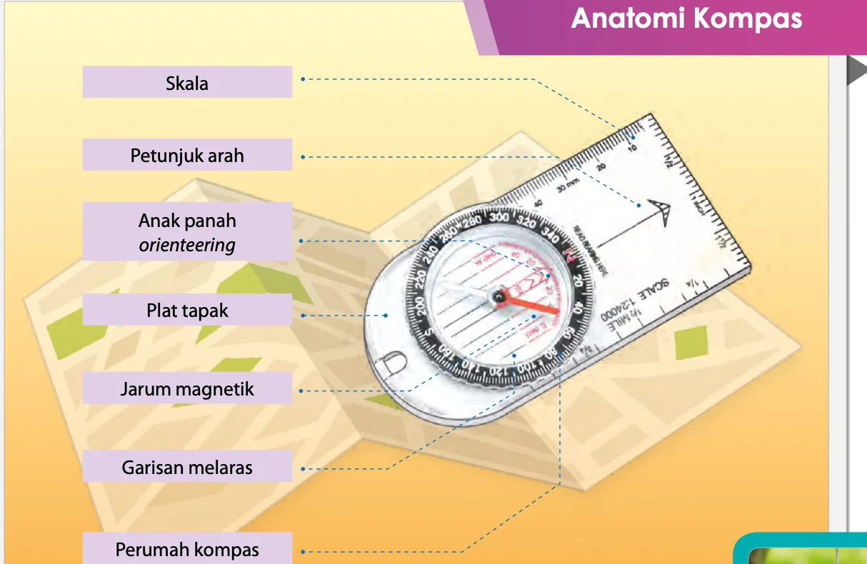 Rajah kompas berlabel: skala, petunjuk arah, anak panah orienteering, plat tapak, jarum magnetik, garisan melaras, perumah kompas