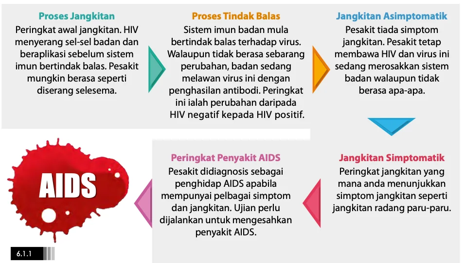 Lima peringkat: proses jangkitan, proses tindak balas, jangkitan asimptomatik, jangkitan simptomatik, peringkat AIDS
