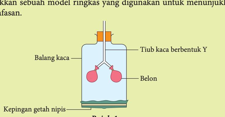 Balang kaca dengan tiub kaca berbentuk Y, dua belon dan kepingan getah nipis di bahagian bawah