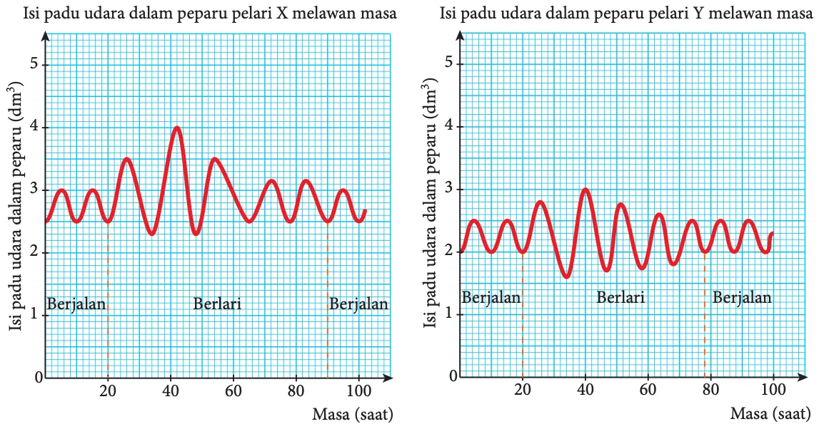 Dua graf isi padu udara dalam peparu melawan masa: pelari X berayun antara 2.5 dan 3.0 dm³ semasa berjalan dan mencapai maksimum 4.0 dm³ semasa berlari; pelari Y berayun antara 2.0 dan 2.5 dm³ semasa berjalan dan mencapai maksimum 3.0 dm³ semasa berlari