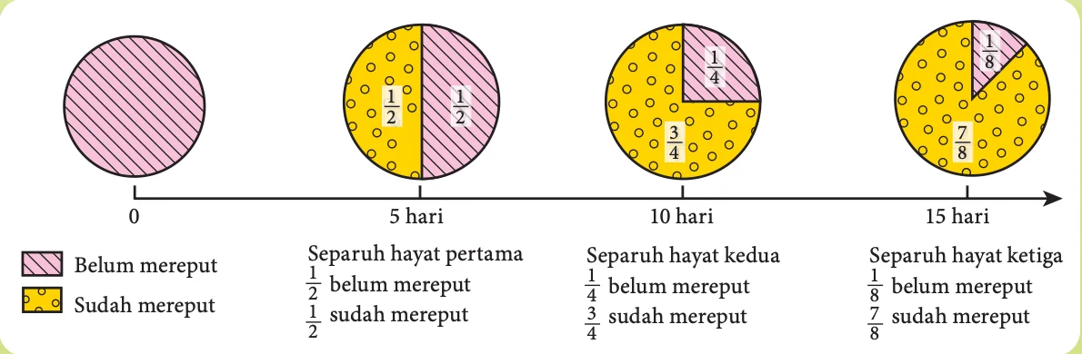 Bulatan menunjukkan bahagian nukleus yang belum mereput: semua pada 0, setengah pada 5 hari, suku pada 10 hari, satu perlapan pada 15 hari