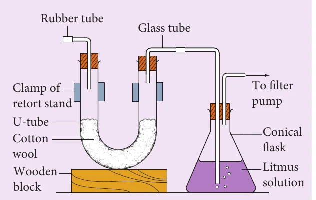 Smoking apparatus: cotton wool in a U-tube connected to a conical flask of litmus solution and a filter pump