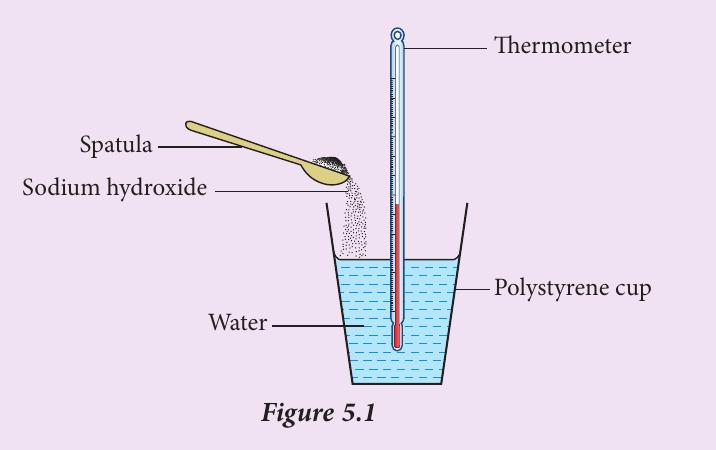 Sodium hydroxide being added by spatula to water in a polystyrene cup with a thermometer