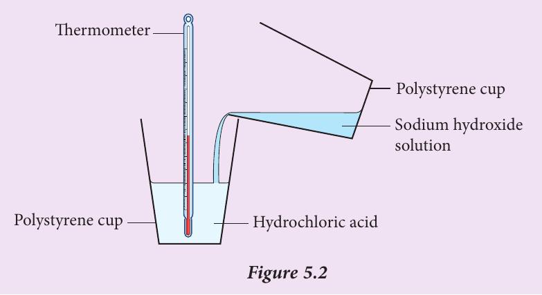 Sodium hydroxide solution being poured into hydrochloric acid in a polystyrene cup with a thermometer