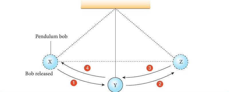 A pendulum bob swinging between X and Z through the lowest point Y, with the four stages numbered
