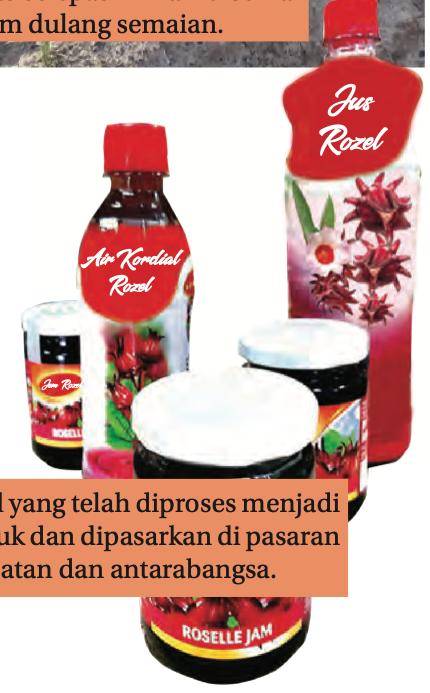 Botol jus rozel, air kordial rozel dan jem rozel