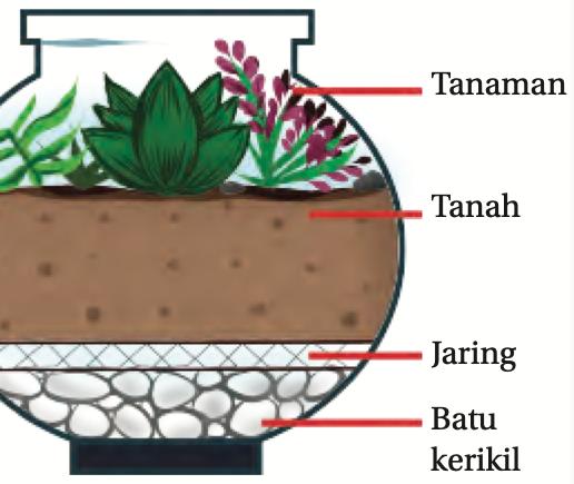 Keratan rentas terarium: lapisan batu kerikil, jaring, tanah dan tanaman dari bawah ke atas