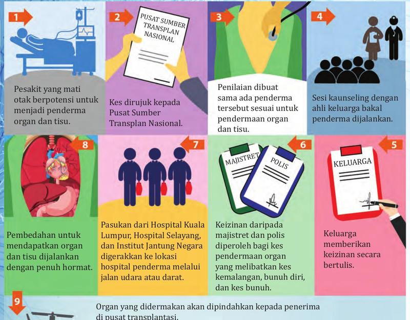 Sembilan langkah prosedur pendermaan organ: pesakit mati otak, rujukan kepada Pusat Sumber Transplan Nasional, penilaian, kaunseling keluarga, keizinan keluarga, keizinan majistret dan polis, pasukan digerakkan, pembedahan, organ dipindahkan kepada penerima