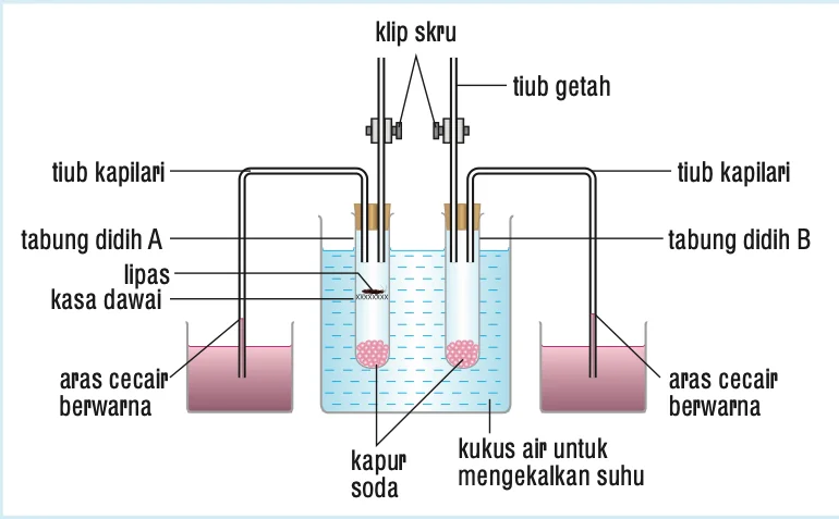 Respirometer: tabung didih A dengan lipas dan kapur soda, tabung didih B dengan kapur soda sahaja
