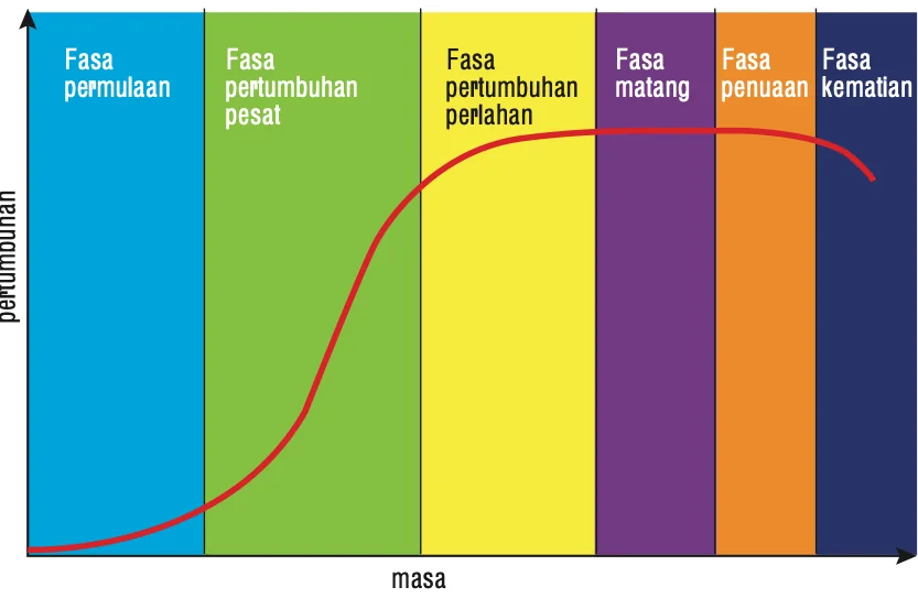 Lengkung pertumbuhan sigmoid dengan fasa permulaan, pertumbuhan pesat, pertumbuhan perlahan, matang, penuaan dan kematian