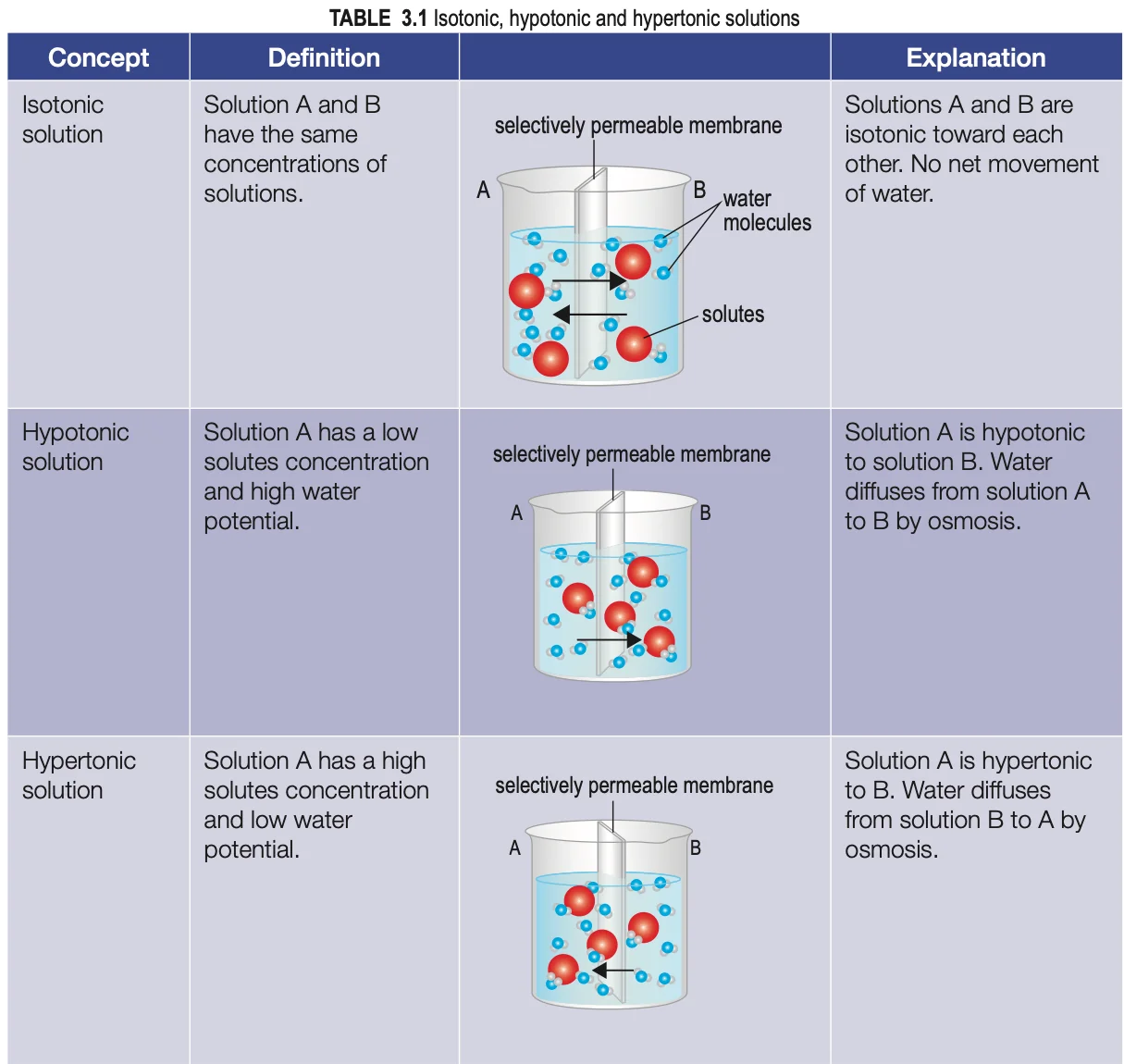 Table comparing isotonic, hypotonic and hypertonic solutions with beaker diagrams