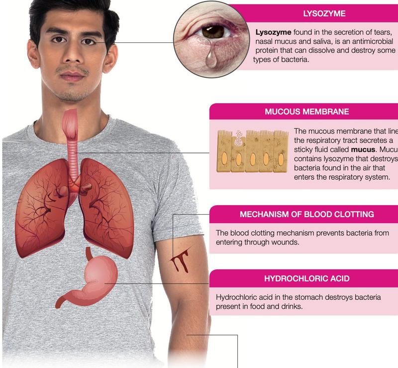 Diagram of a man showing lysozyme in tears, mucous membrane in the airways, blood clotting at a wound, hydrochloric acid in the stomach and the skin