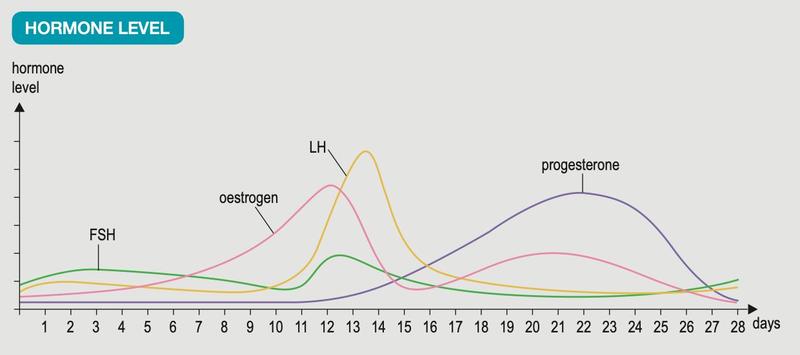 Graph of FSH, LH, oestrogen and progesterone levels over 28 days
