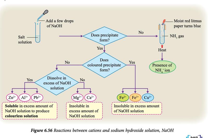 Flow chart of cation tests with NaOH: no precipitate and NH3 on heating means NH4+; coloured precipitates Fe2+, Fe3+, Cu2+ insoluble in excess; white precipitates Zn2+, Al3+, Pb2+ dissolve in excess; Mg2+ and Ca2+ do not