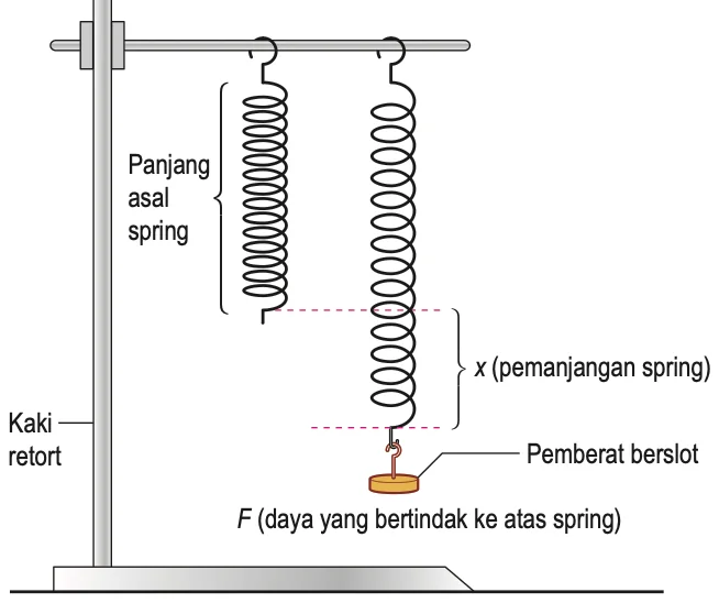 Spring tergantung pada kaki retort: spring asal dan spring yang diregangkan oleh pemberat berslot, dengan pemanjangan x