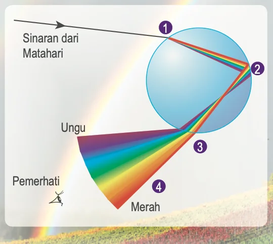 Sinar matahari memasuki titisan air, dibias, dipantulkan dalam penuh dan dibias semula sehingga warna pelangi dilihat pemerhati