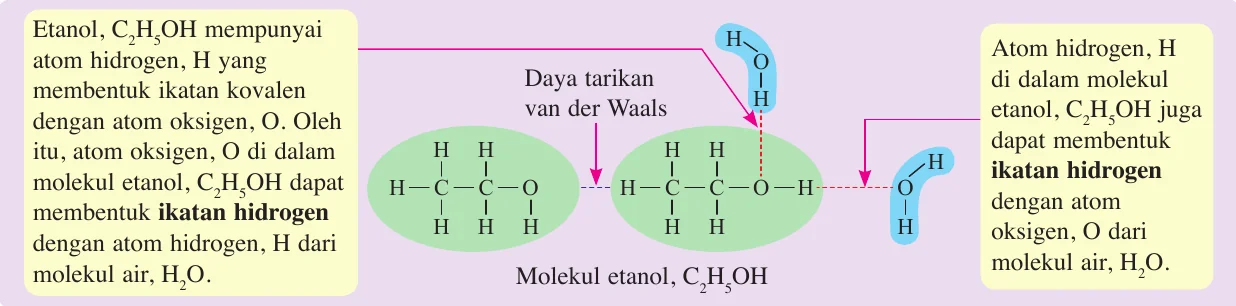 Molekul etanol membentuk ikatan hidrogen dengan molekul air melalui atom oksigen dan atom hidrogen