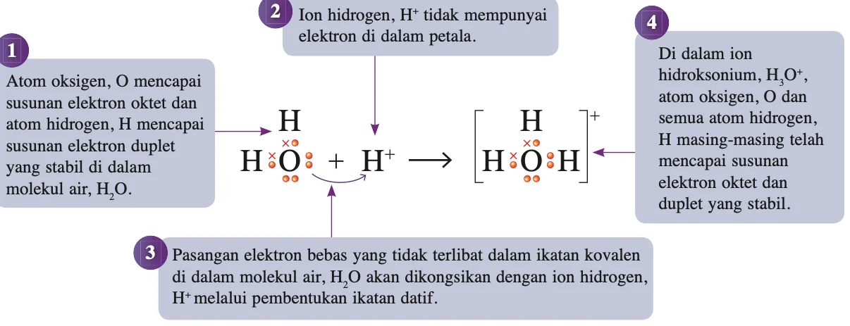 Molekul air menyumbang pasangan elektron bebas kepada ion hidrogen membentuk ion hidroksonium H3O+