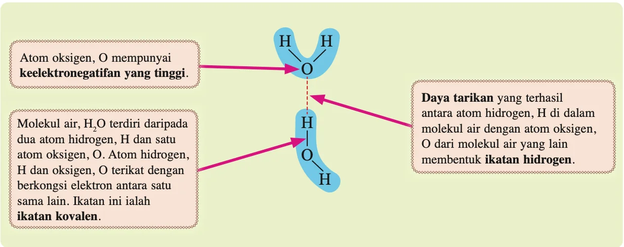 Atom hidrogen satu molekul air tertarik kepada atom oksigen molekul air lain melalui ikatan hidrogen