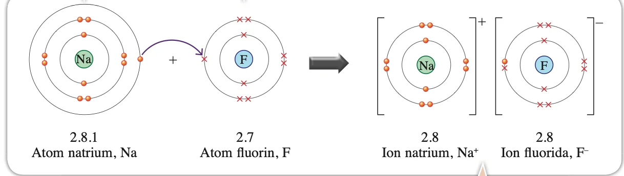 Atom natrium 2.8.1 menderma satu elektron kepada atom fluorin 2.7 untuk membentuk ion natrium 2.8 dan ion fluorida 2.8
