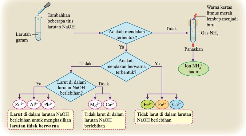 Carta alir ujian kation dengan NaOH: tiada mendakan dan gas NH3 apabila dipanaskan bermakna ion NH4+; mendakan berwarna Fe2+, Fe3+, Cu2+ tidak larut dalam NaOH berlebihan; mendakan putih Zn2+, Al3+, Pb2+ larut dalam NaOH berlebihan; Mg2+ dan Ca2+ tidak larut