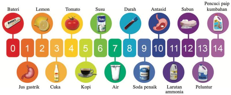 Skala pH 0 hingga 14 dengan bahan harian: bateri 0, jus gastrik 1, lemon 2, cuka 3, tomato 4, kopi 5, susu 6, air 7, darah 8, soda penaik 9, antasid 10, larutan ammonia 11, sabun 12, peluntur 13, pencuci paip 14