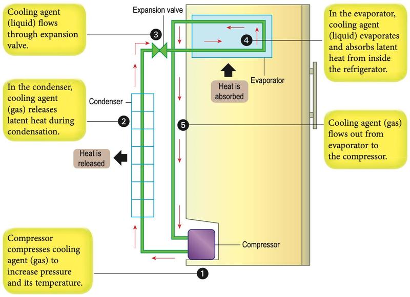 Refrigerator cooling system with compressor, condenser, expansion valve and evaporator