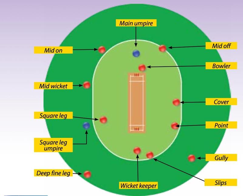 Gambar rajah padang kriket berbentuk bujur dengan nama posisi pemain seperti mid off, cover, point, slips, gully, wicket keeper dan square leg