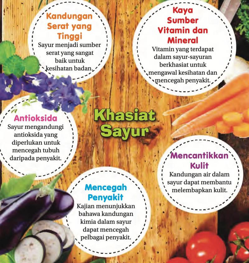 Gambar rajah lima khasiat sayur: serat tinggi, sumber vitamin dan mineral, antioksida, mencantikkan kulit, mencegah penyakit