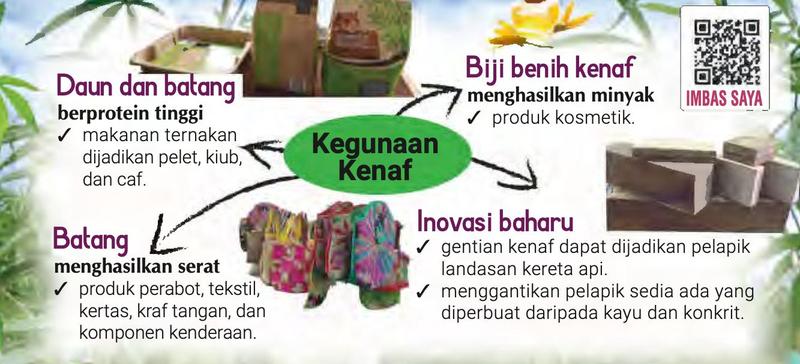 Peta minda kegunaan kenaf: daun dan batang untuk makanan ternakan, batang untuk serat, biji benih untuk minyak, inovasi baharu pelapik landasan