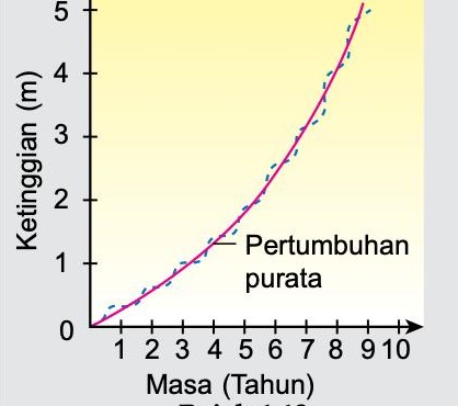 Lengkung ketinggian tumbuhan saka melawan masa: jujukan sigmoid kecil dan garis pertumbuhan purata