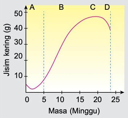 Lengkung jisim kering melawan masa dengan peringkat A, B, C dan D