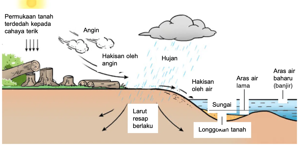 Tunggul pokok di tanah terdedah kepada cahaya terik; angin dan hujan menyebabkan hakisan, larut resap berlaku dan longgokan tanah di sungai menaikkan aras air sehingga banjir