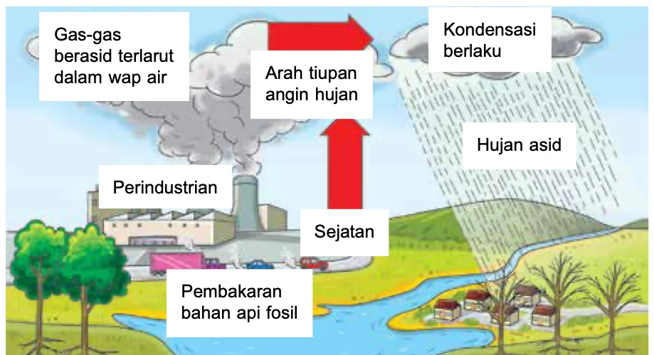 Asap kilang dan kenderaan membebaskan gas berasid yang terlarut dalam wap air, terbawa angin, berlaku kondensasi dan turun sebagai hujan asid