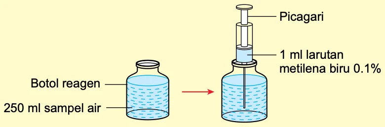 Botol reagen berisi 250 ml sampel air dan picagari yang memasukkan 1 ml larutan metilena biru 0.1%