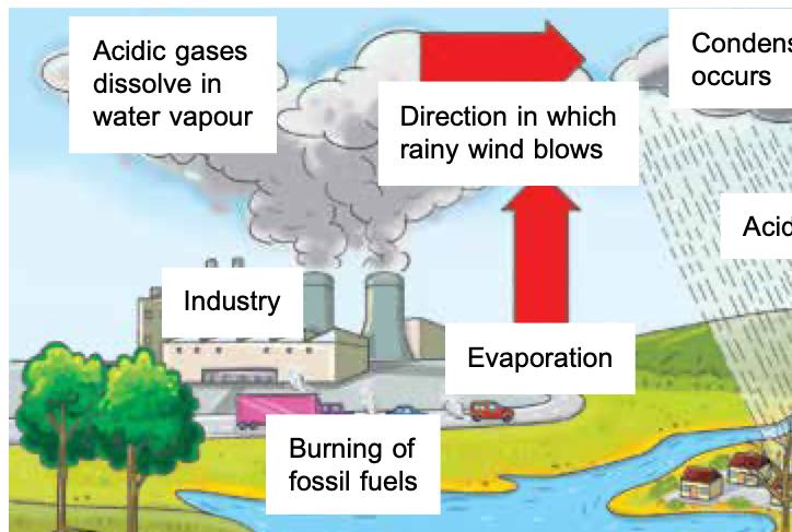 Industry and burning fossil fuels release acidic gases that dissolve in water vapour, condense and fall as acid rain