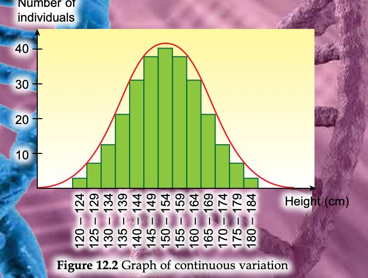 Histogram of number of pupils against height range in 5 cm steps, forming a bell-shaped curve