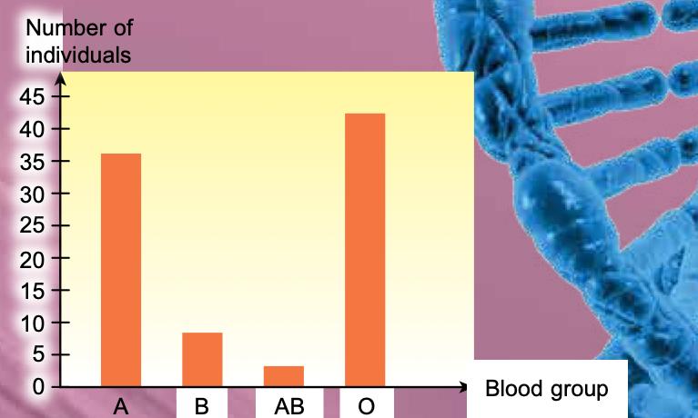 Bar chart of number of individuals for blood groups A, B, AB and O with separate bars