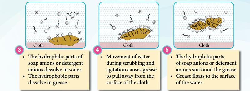 Steps 3 to 5 of the cleansing action: anions dissolve in the grease, grease lifts off the cloth and is surrounded by anions