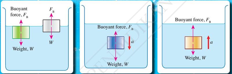 Three beakers: weight equals buoyant force, weight greater than buoyant force, weight less than buoyant force