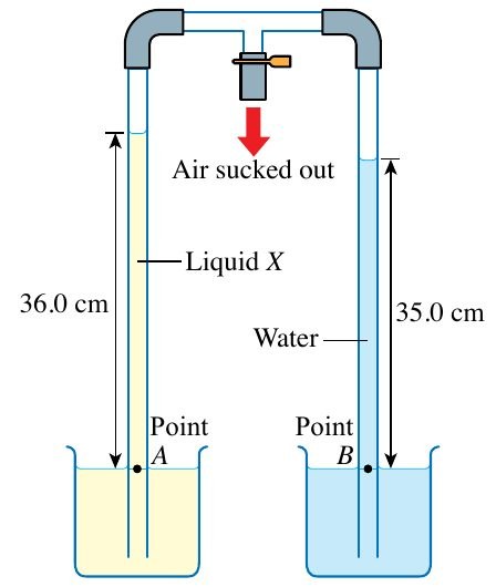 Two tubes joined at the top; the left holds liquid X to 36.0 cm and the right holds water to 35.0 cm
