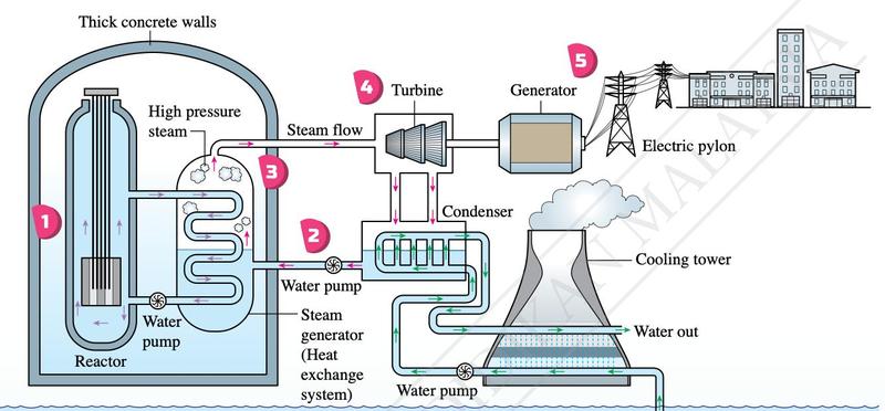 Nuclear power station: reactor, steam generator, turbine, generator, condenser and cooling tower